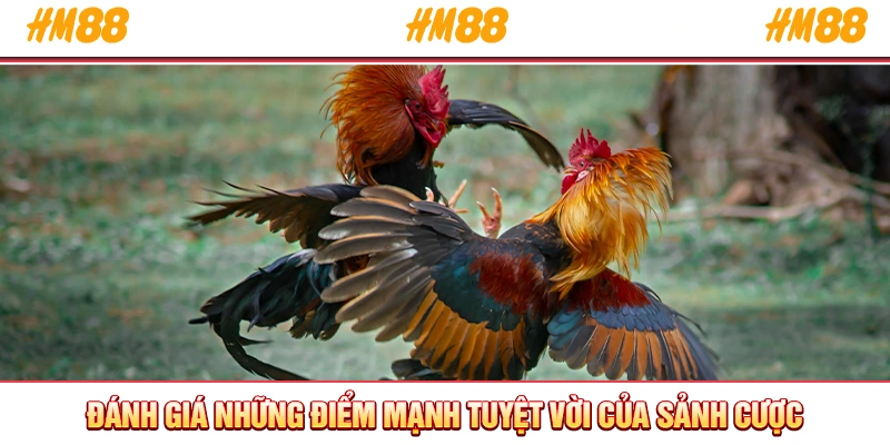 Đánh giá những điểm mạnh tuyệt vời của sảnh cược